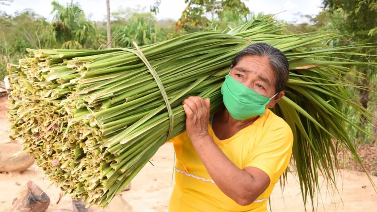 <p> Archivo - Fundaci&oacute;n Microfinanzas BBVA (FMBBVA) ayuda a cientos de miles de mujeres para que salgan adelante con peque&ntilde;os negocios en Am&eacute;rica Latina - FMBBVA - Archivo </p>