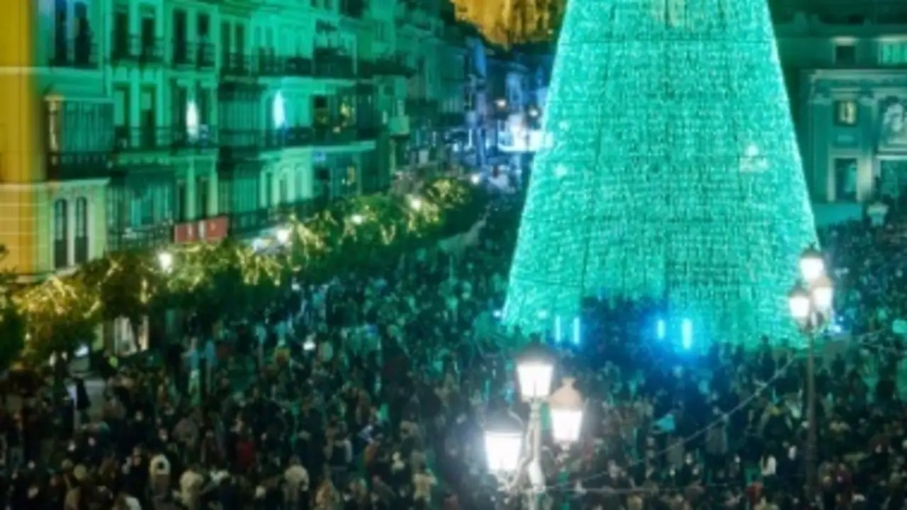 <p> Luces de Navidad </p>