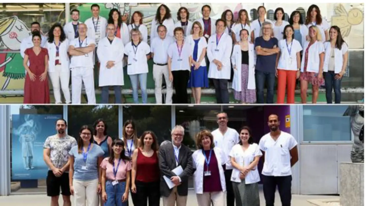 <p> Equipo de investigaci&oacute;n del Vall d </p>