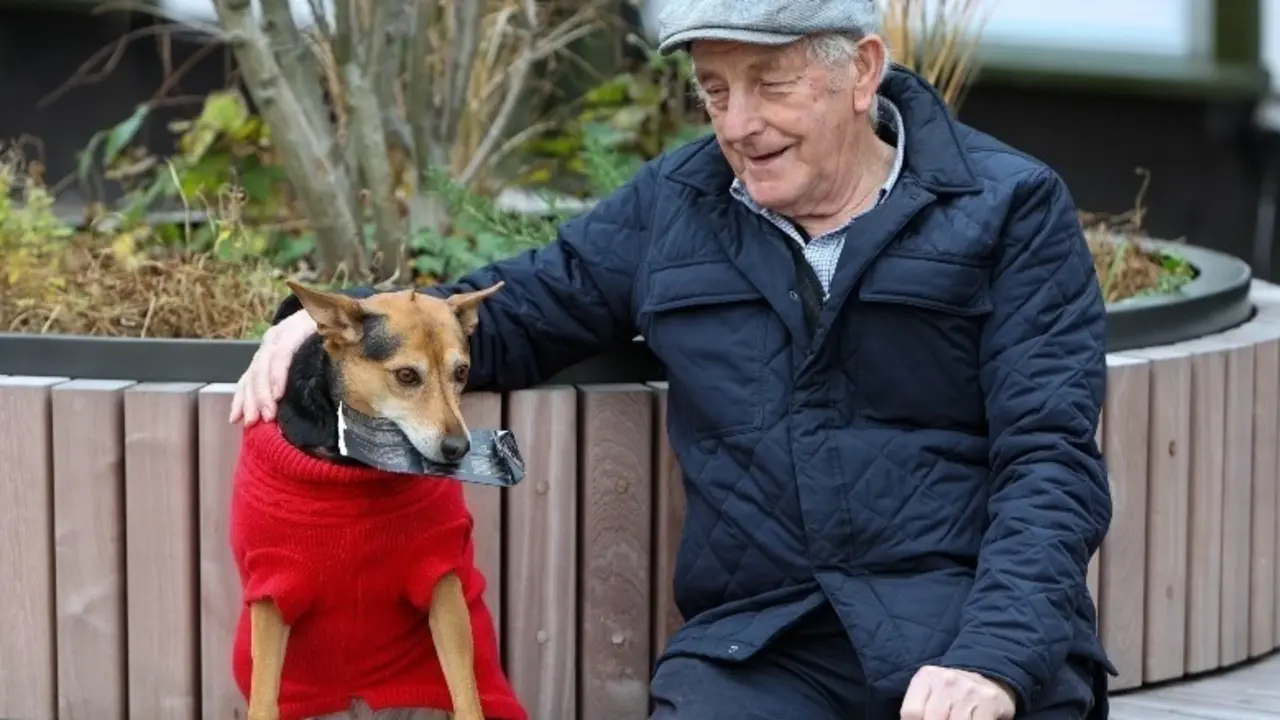 <p> Gracias a Millie, Alfie ha podido reunirse con sus hermanos. </p>