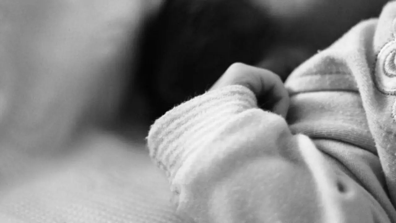 <p> Creative Commons. </p>