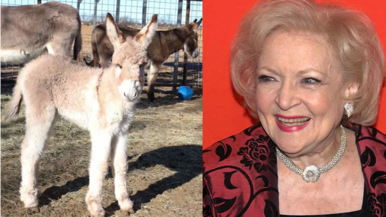 <p> Betty la burrita junto a la mujer que le dio su nombre </p>