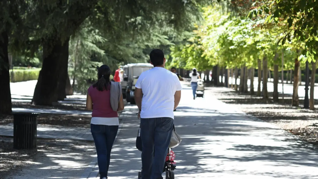 <p> Archivo - Una pareja pasea con su beb&eacute; en un carrito por un parque de Madrid. - Oscar Ca&ntilde;as - Europa Press - Archivo </p>