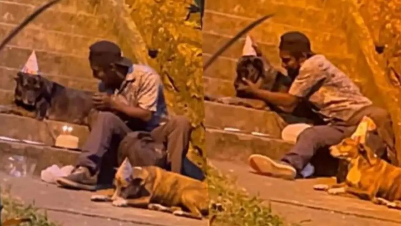 <p> Hombre sin hogar celebra el cumplea&ntilde;os de sus perros </p>