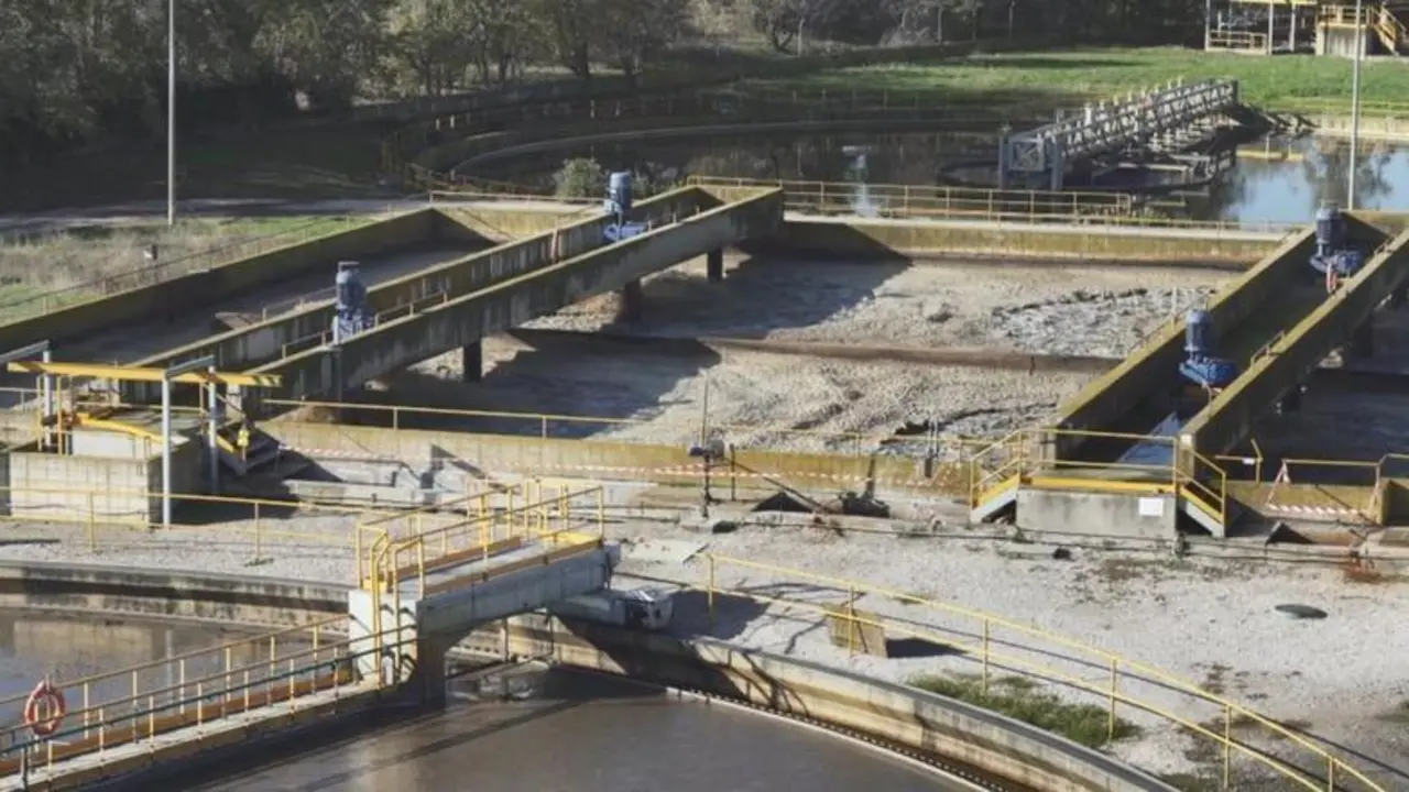 <p> La &Oacute;micron, muy com&uacute;n en las aguas residuales. </p>