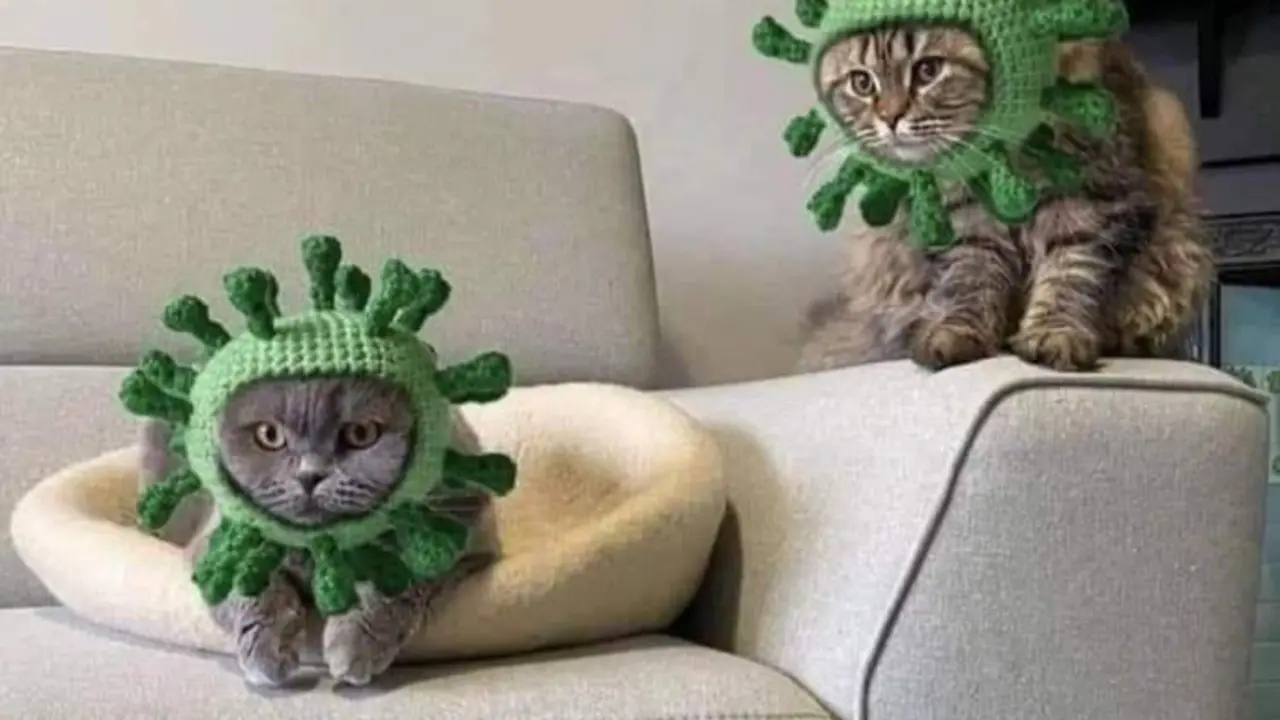 <p> &iquest;Podemos contagiarnos por segunda vez de la misma variante covid?. Fuente: Twitter @mikrmen1 </p>