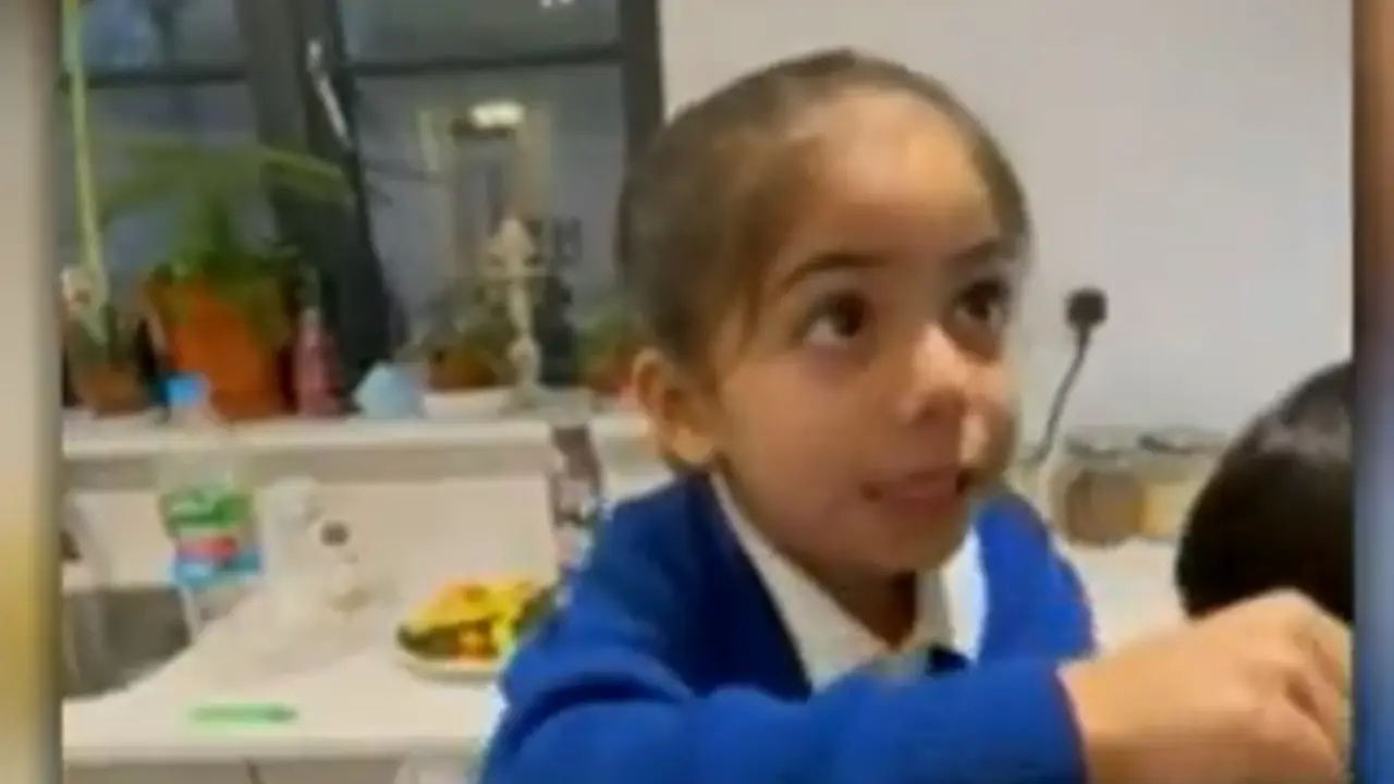 <p> Las cr&iacute;ticas de la ni&ntilde;a a Boris Johnson se han vuelto virales. </p>