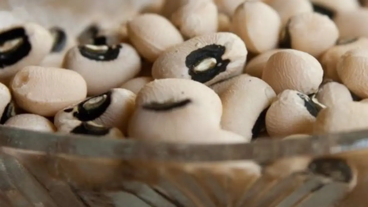 <p> Guisantes de ojos negros - UCR </p>