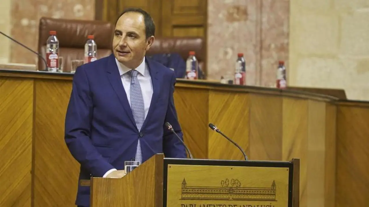 <p> El diputado del grupo parlamentario Vox, Francisco Jos&eacute; Oca&ntilde;a </p>