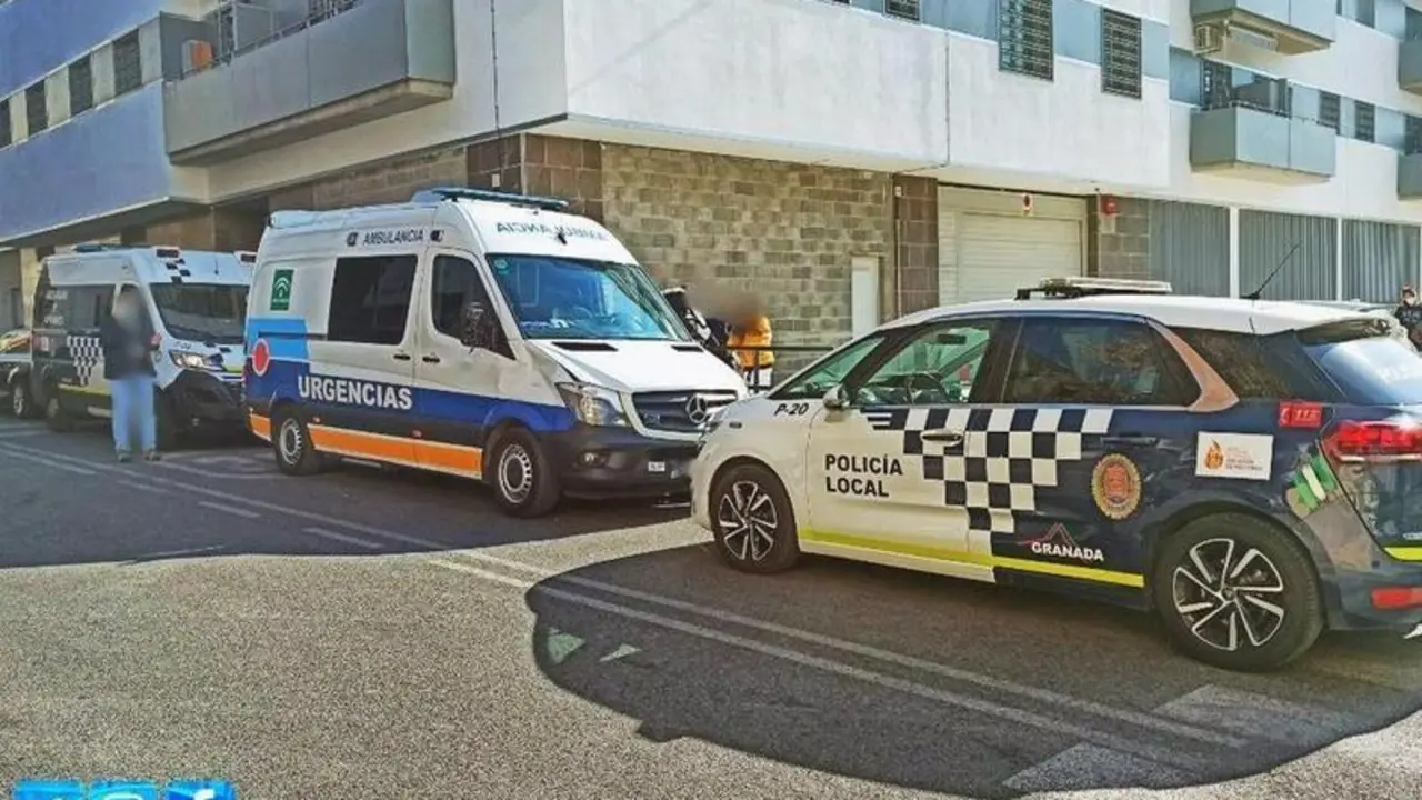 <p> Coche de la Polic&iacute;a Local frente a una ambulancia </p>