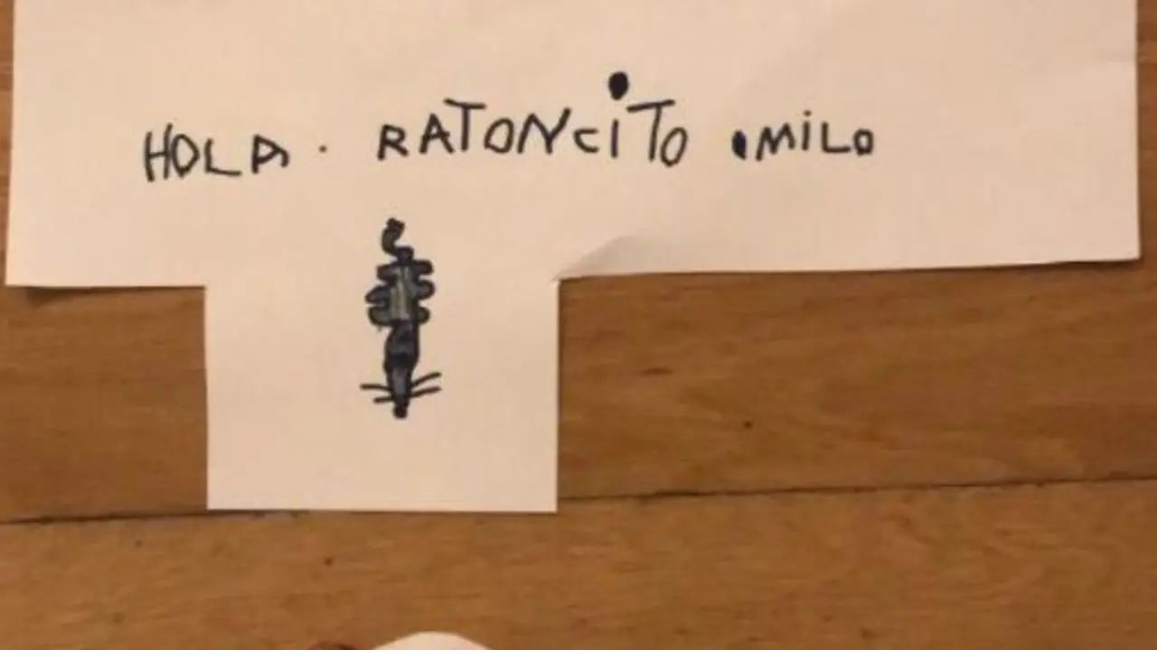 <p> ni&ntilde;o hace mascarilla al rat&oacute;n p&eacute;rez </p>