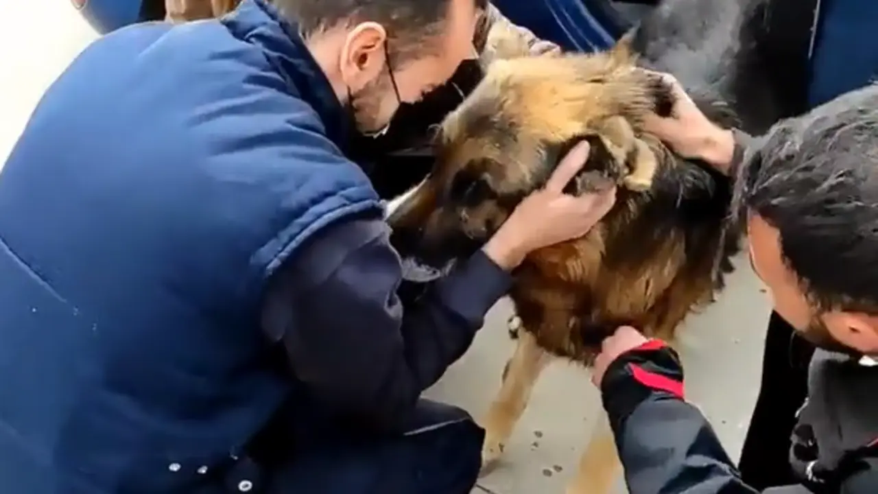 <p> Momento del reencuentro de Dico con sus familiares. Fuente: Instagram @lapepatenorio </p>