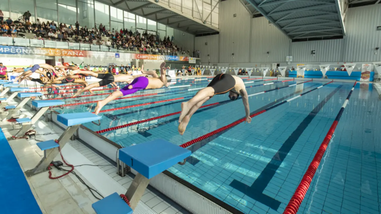 <p> Piscina ol&iacute;mpica </p>