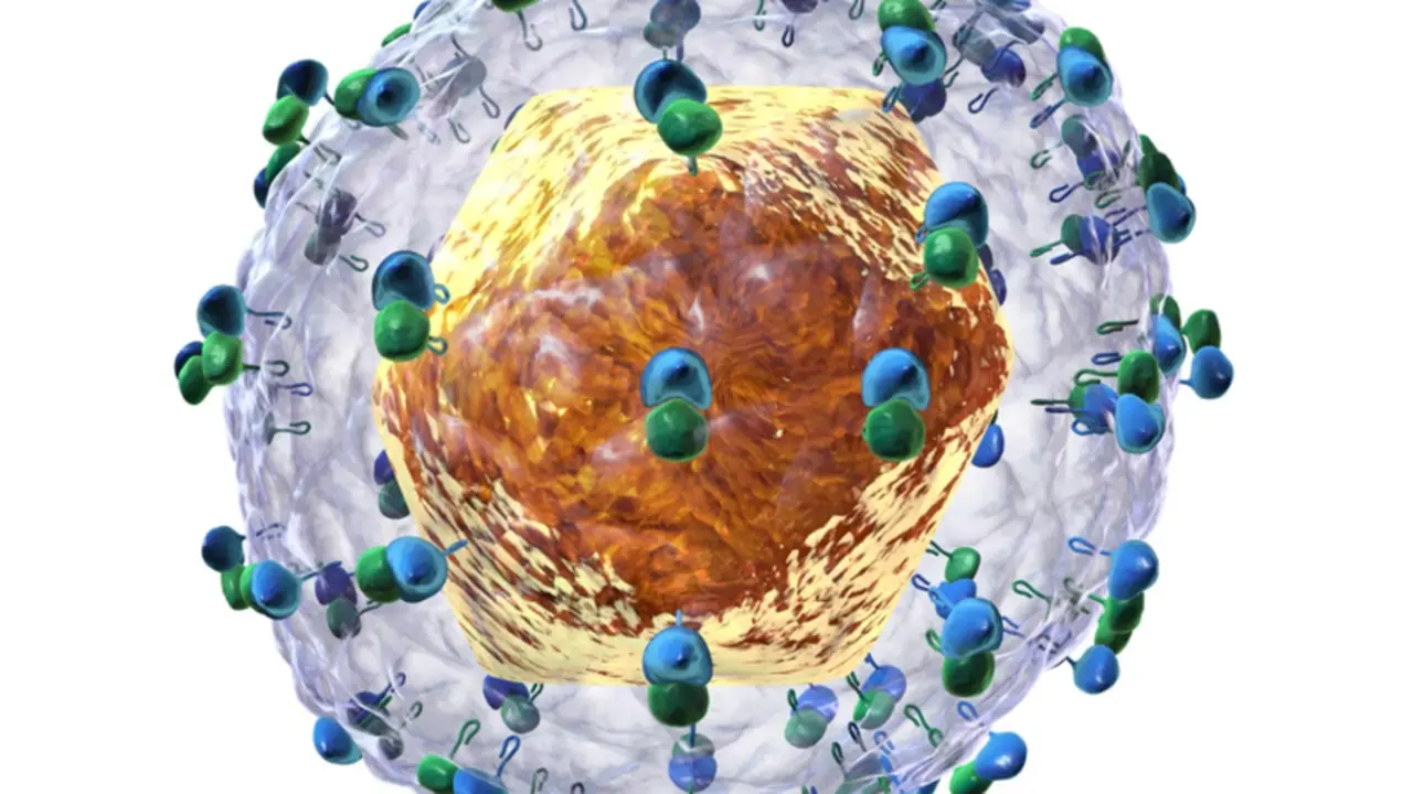 <p> Recreaci&oacute;n del virus de la Hepatitis C. Fuente: Twitter @CSIC </p>