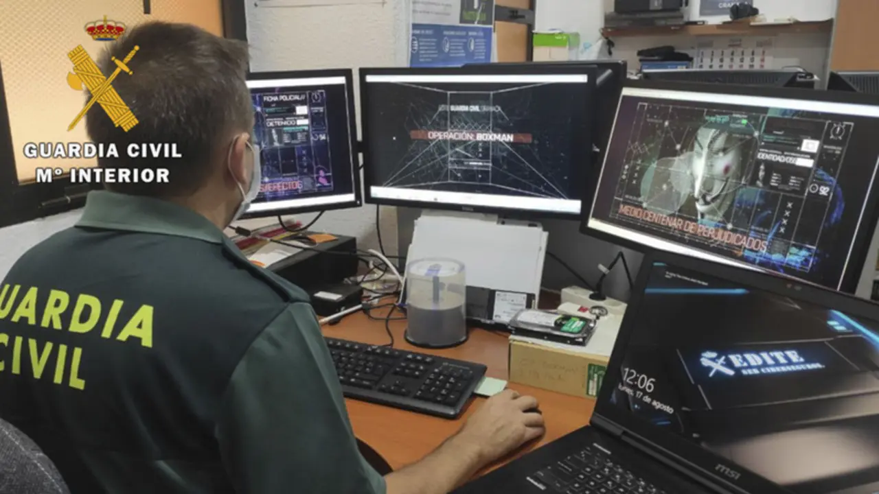 <p> Agente rastreando delitos inform&aacute;ticos. GUARDIA CIVIL </p>