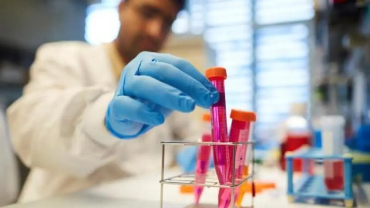 <p> Imagen: EFE </p>