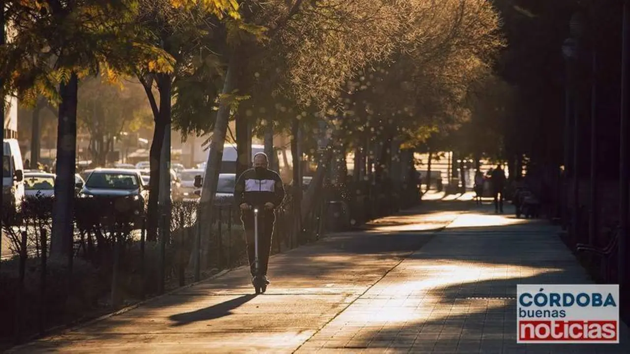 <p> Un hombre en patinete el&eacute;ctrico circula por el carril bici | Jos&eacute; Le&oacute;n. </p>