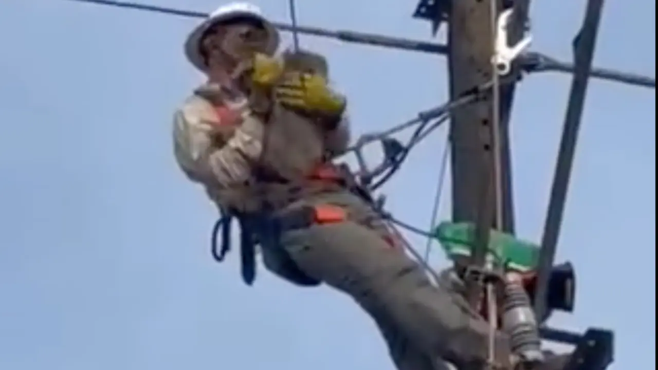 <p> Momento del rescate del perezoso. TWITTER </p>