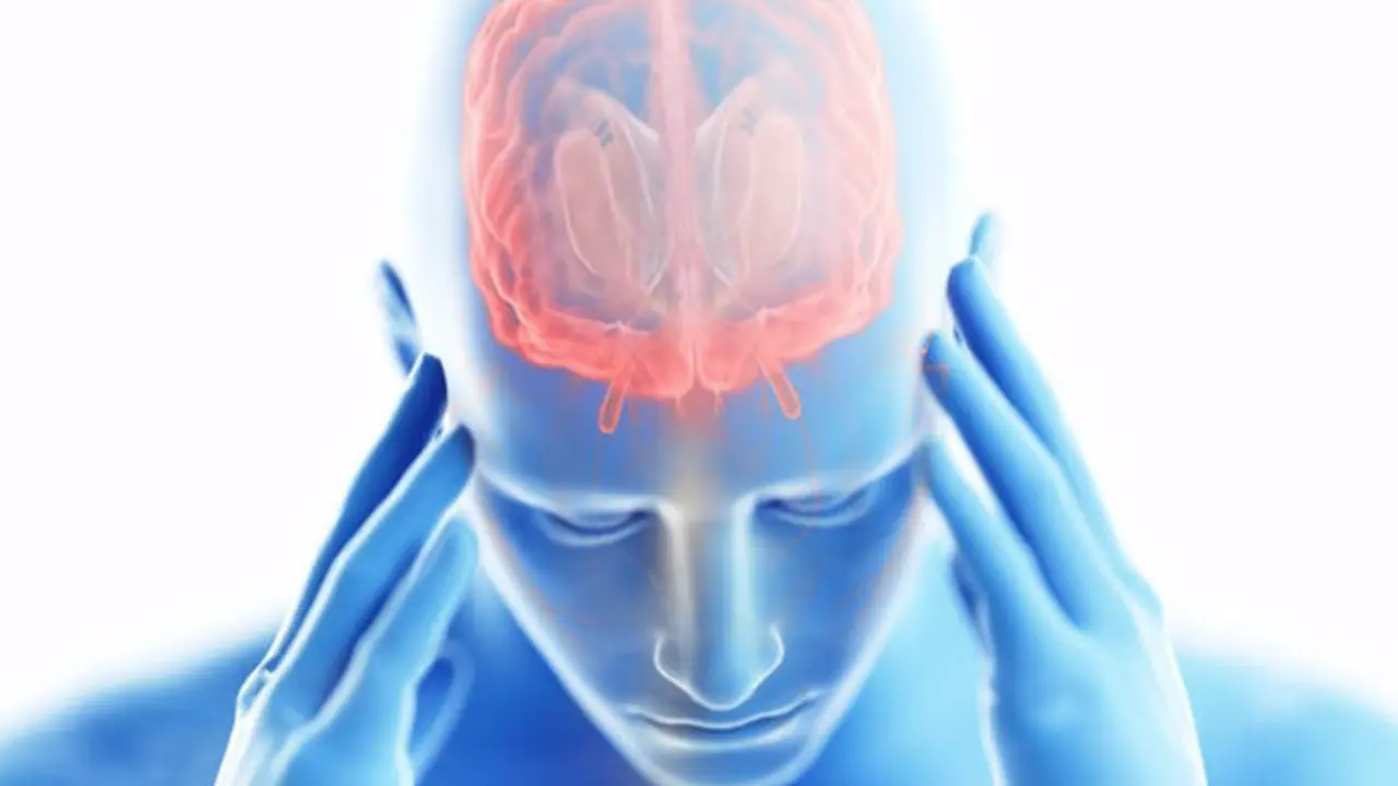 <p> Encefalitis. - HOSPITAL LA LUZ </p>