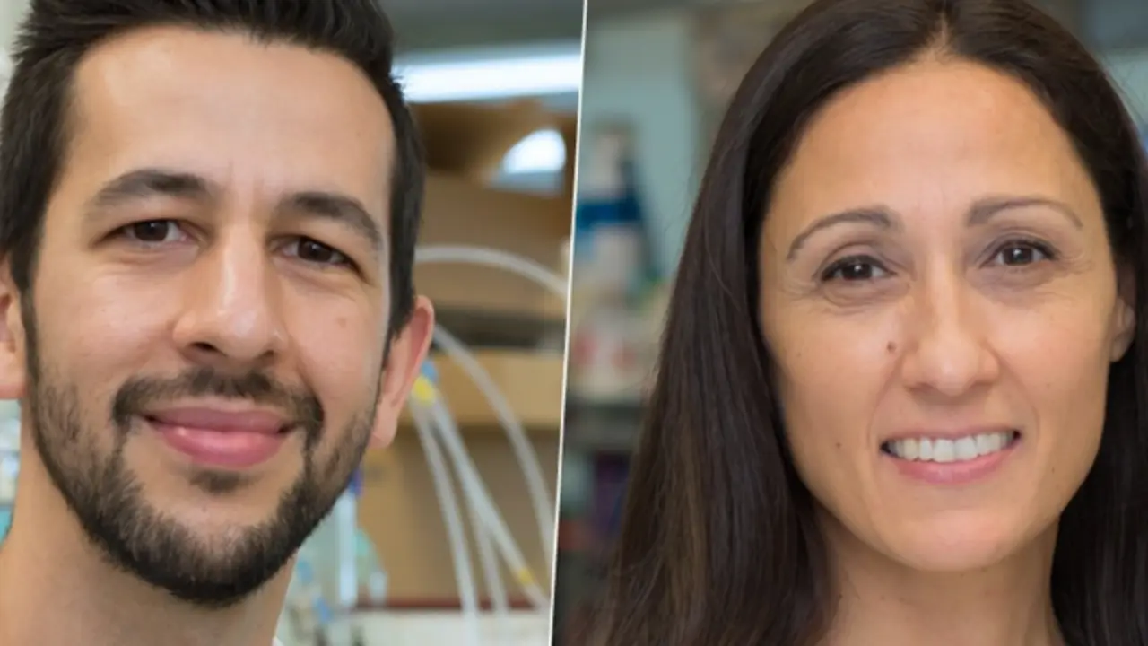 <p> Omomyc demuestra por primera vez su capacidad antimetast&aacute;sica en el c&aacute;ncer de mama </p>