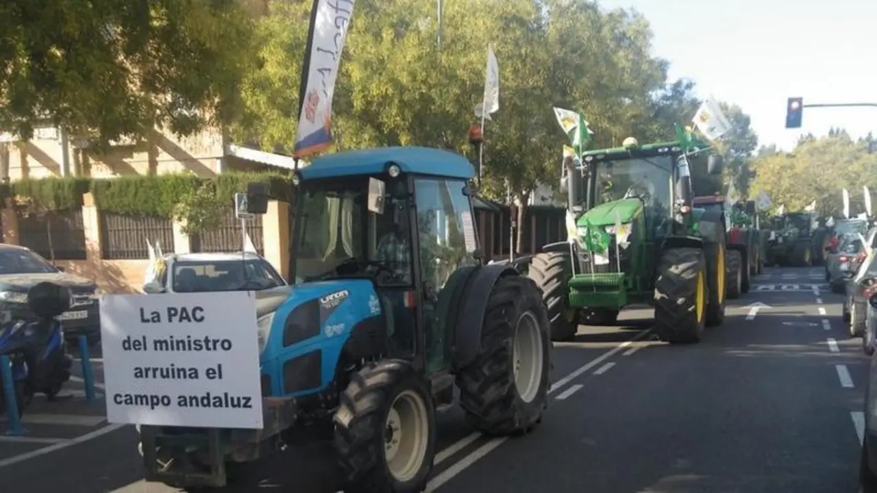 <p> Caravana de tractores y veh&iacute;culos </p>