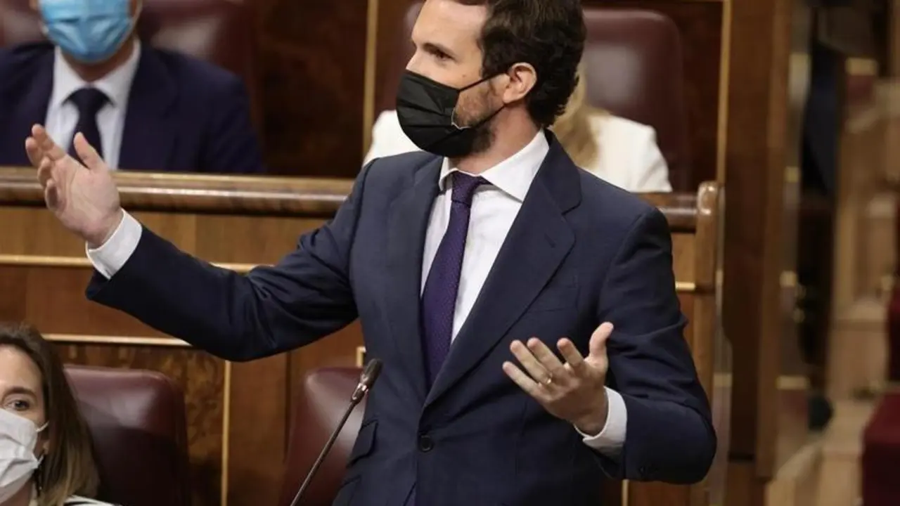 <p> El l&iacute;der del PP, Pablo Casado, </p>