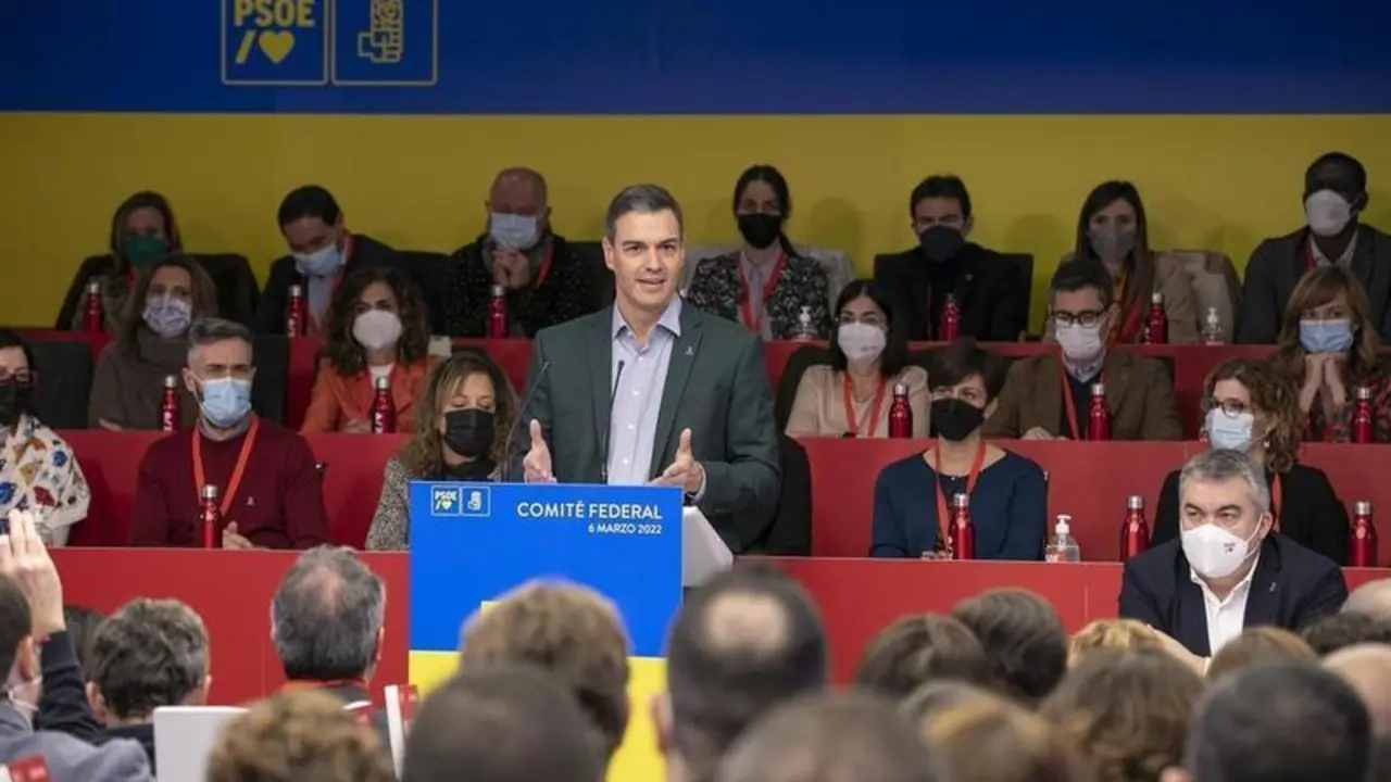<p> El presidente del Gobierno y secretario general del PSOE, Pedro S&aacute;nchez, preside la reuni&oacute;n del Comit&eacute; Federal del PSOE </p>