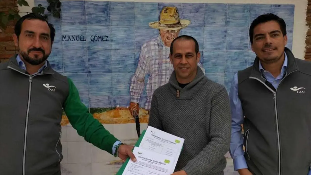 <p> Salinas del alem&aacute;n. </p>