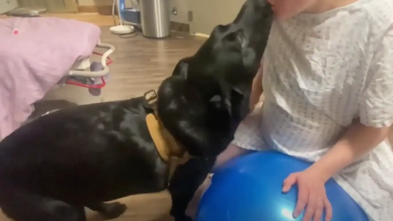 <p> Max junto a su due&ntilde;a </p>