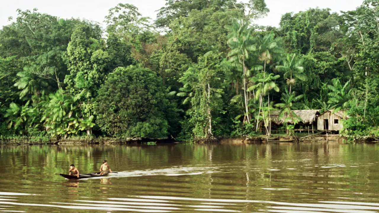 <p> Amazonas. WIKIPEDIA </p>