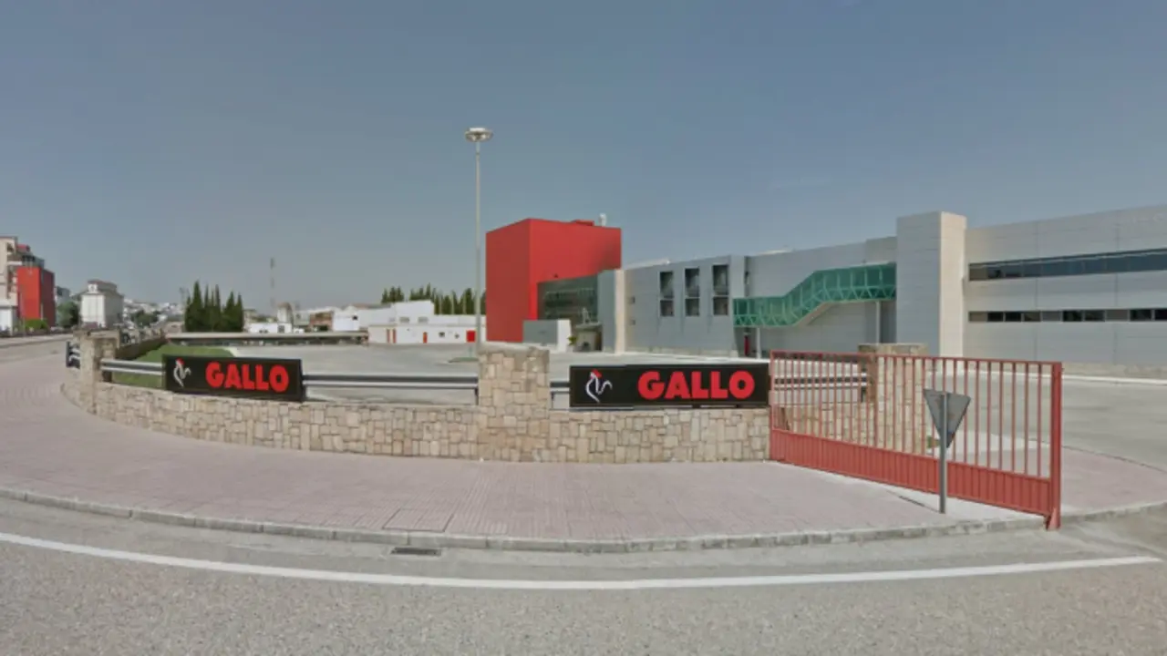 <p> Pastas Gallo en El Carpio </p>