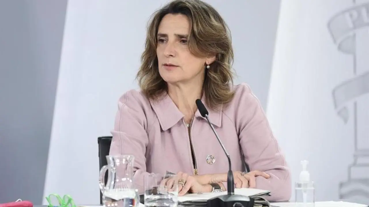 <p> La vicepresidenta tercera y ministra para la Transici&oacute;n Ecol&oacute;gica y el Reto Demogr&aacute;fico, Teresa Ribera </p>