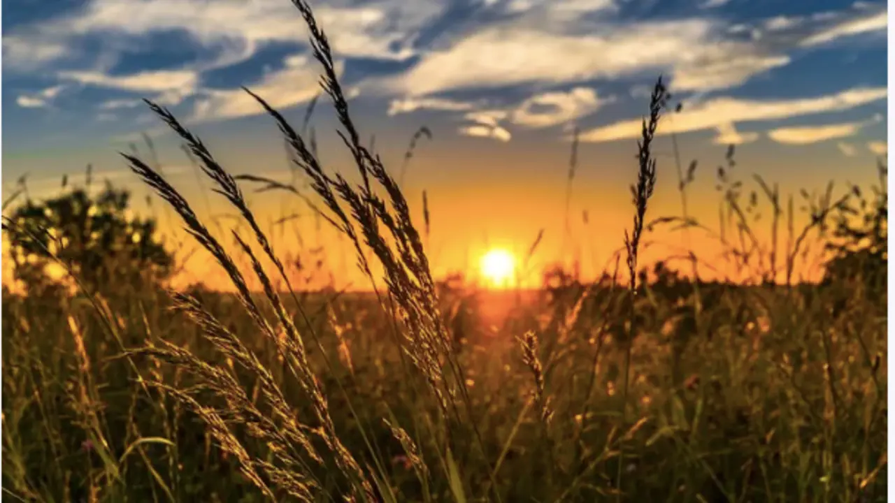 <p> Fuente: Pixabay<br>Agricultura </p>