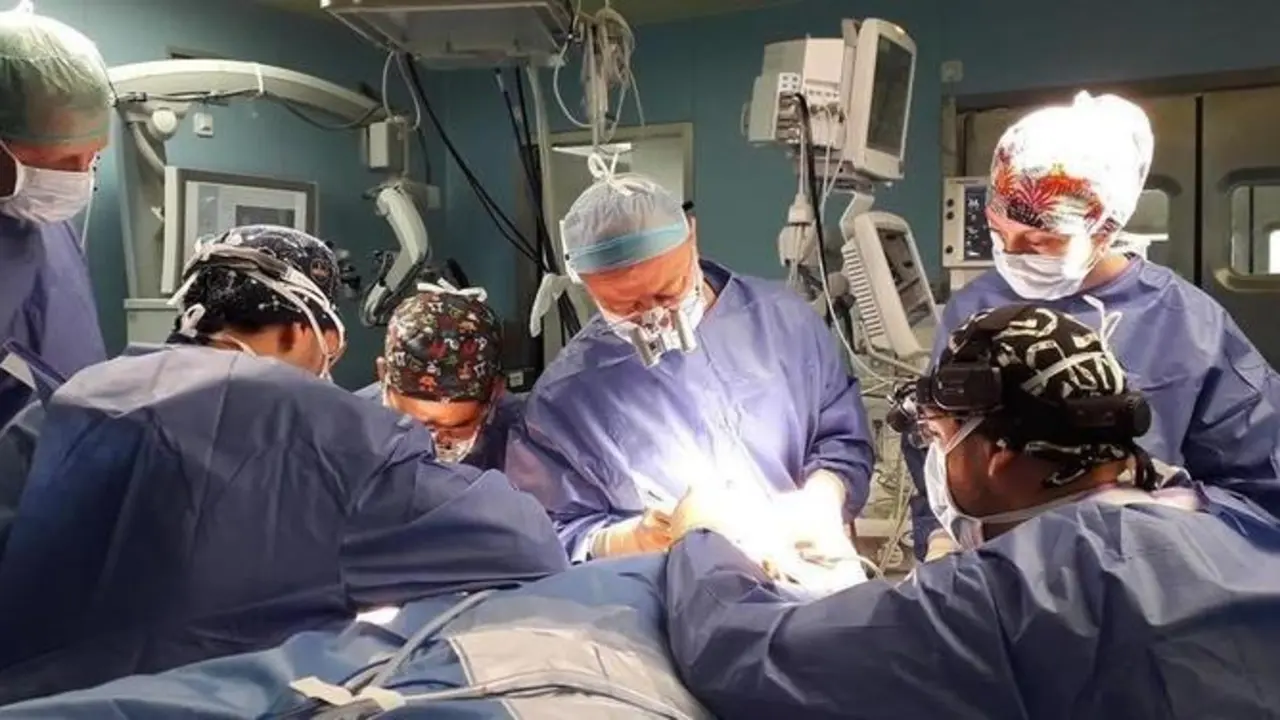 <p> Trasplante - CBN. </p>