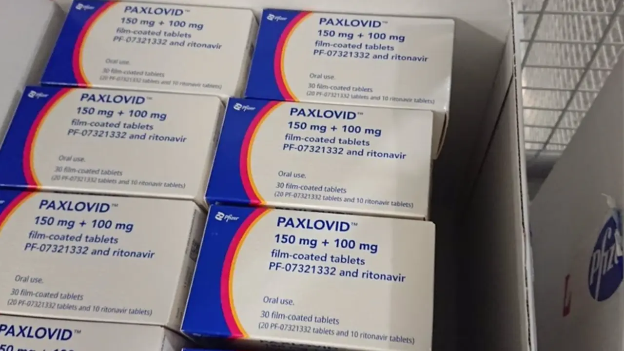 <p> Medicamento Paxlovid de Pfizer contra la Covid-19 - CEDIDO POR DELEGACI&Oacute;N DEL GOBIERNO EN CANARIAS </p>