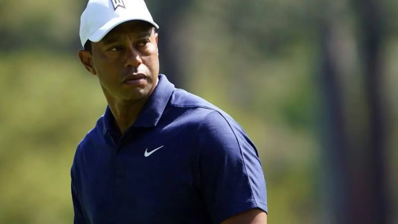 <p> El Golfista, Tiger Woods </p>