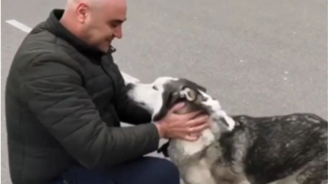 <p> Momento del reencuentro </p>