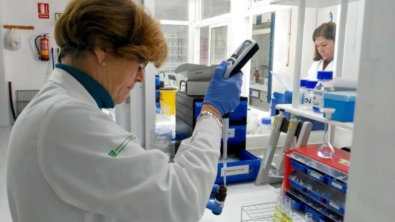 <p> Laboratorio </p>