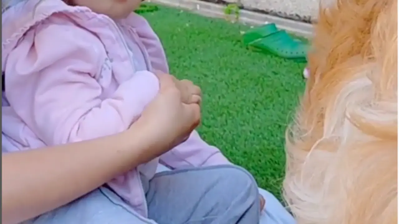 <p> Un perro ayuda a una ni&ntilde;a con da&ntilde;o cerebral en el hospital Ni&ntilde;o Jes&uacute;s. Fuente: Instagram </p>