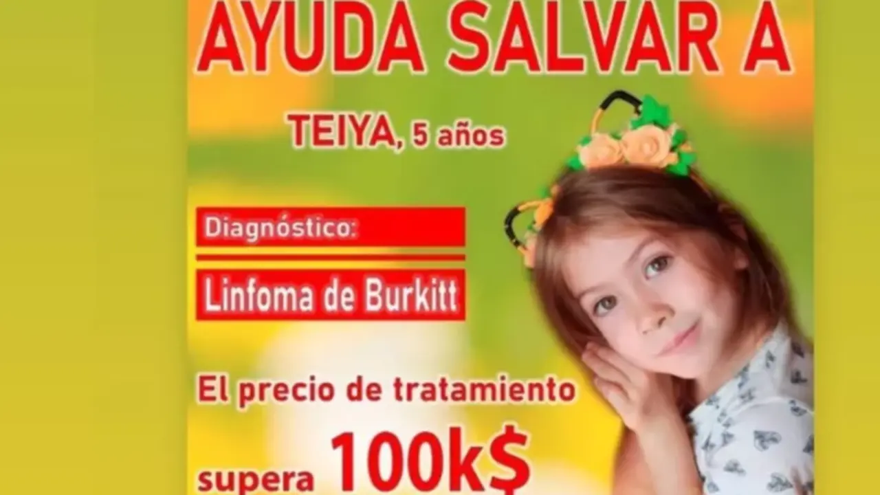 <p> Cartel de la campa&ntilde;a para ayudar a Teiya, ni&ntilde;a con c&aacute;ncer de m&eacute;dula &oacute;sea, en un crowdfunding. Fuente: Go Fund Me </p>