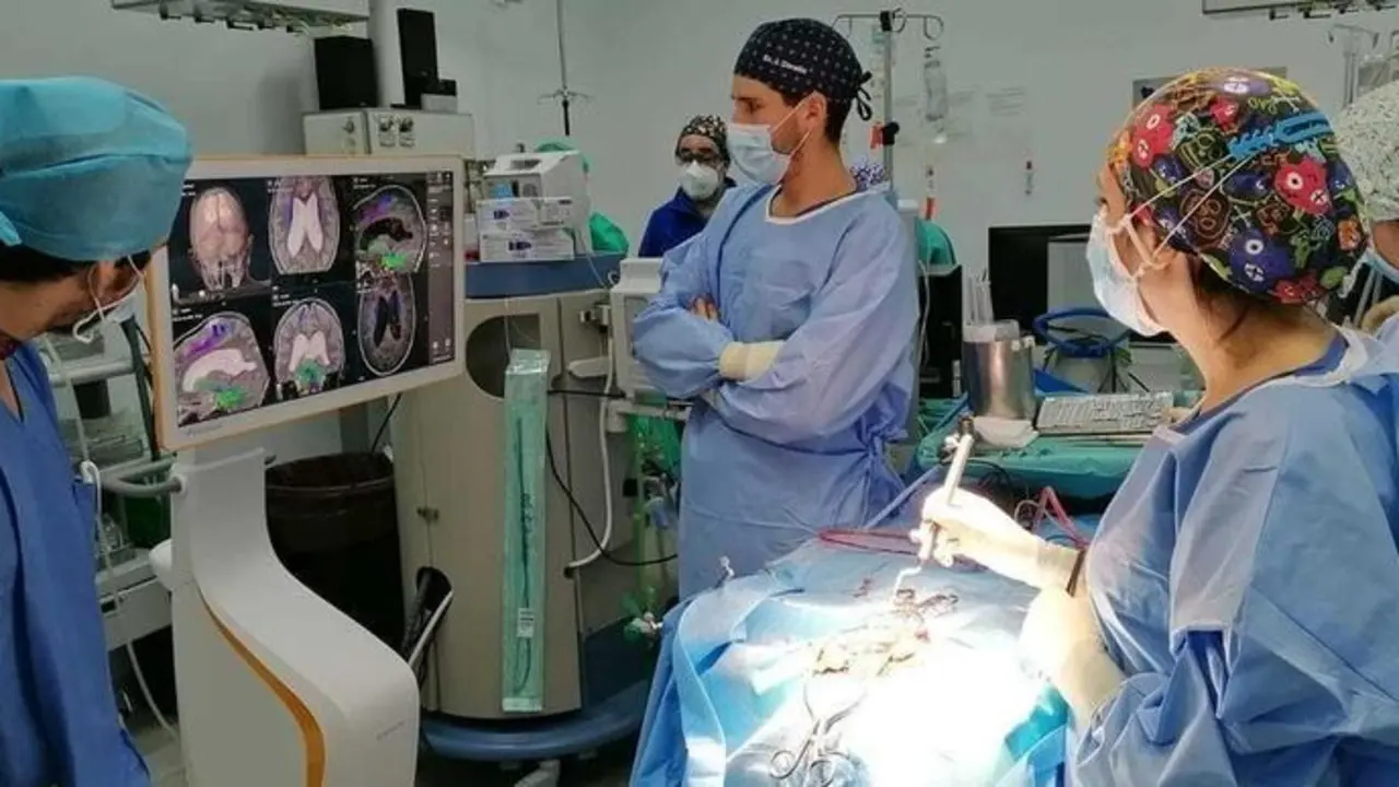 <p> neurocirug&iacute;a navegador </p>