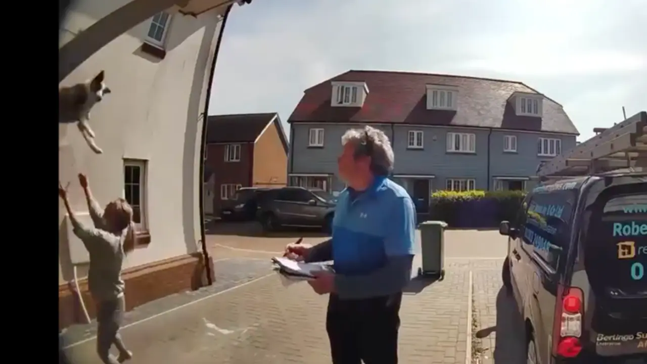 <p> La mujer mientras atrapa a su perro al vuelo. </p>