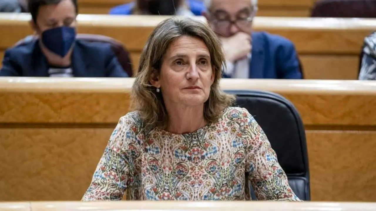 <p> La vicepresidenta del Gobierno responsable de Transici&oacute;n Ecol&oacute;gica, Teresa Ribera </p>