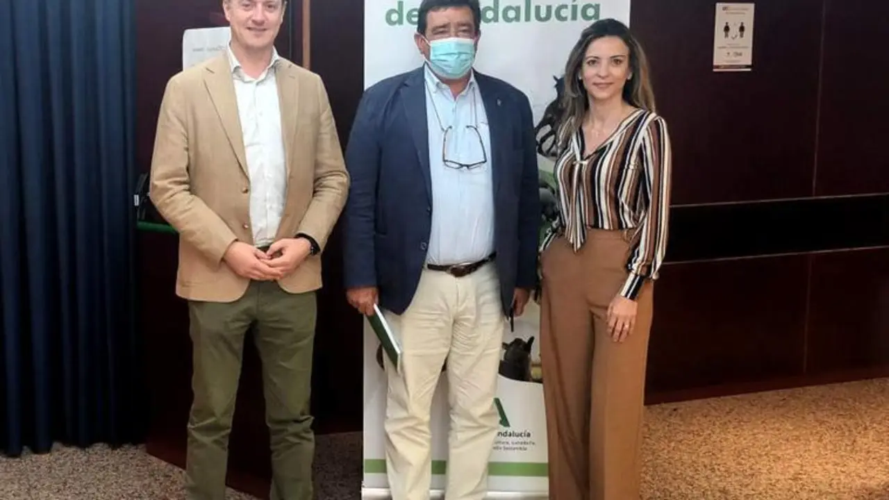 <p> El secretario general de Agricultura, Ganader&iacute;a y Alimentaci&oacute;n, Vicente P&eacute;rez. </p>