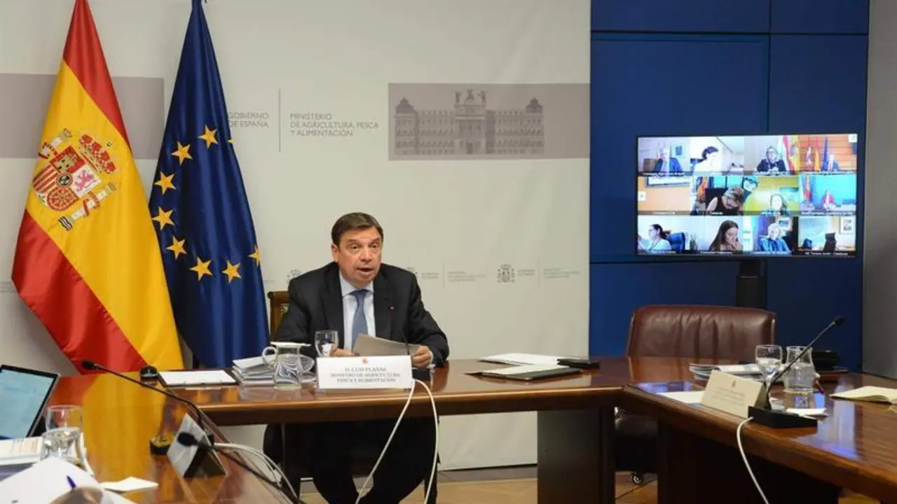 <p> El ministro de Agricultura, Pesca y Alimentaci&oacute;n, Luis Planas, preside la Sectorial de Agricultura y Pesca por videoconferencia </p>