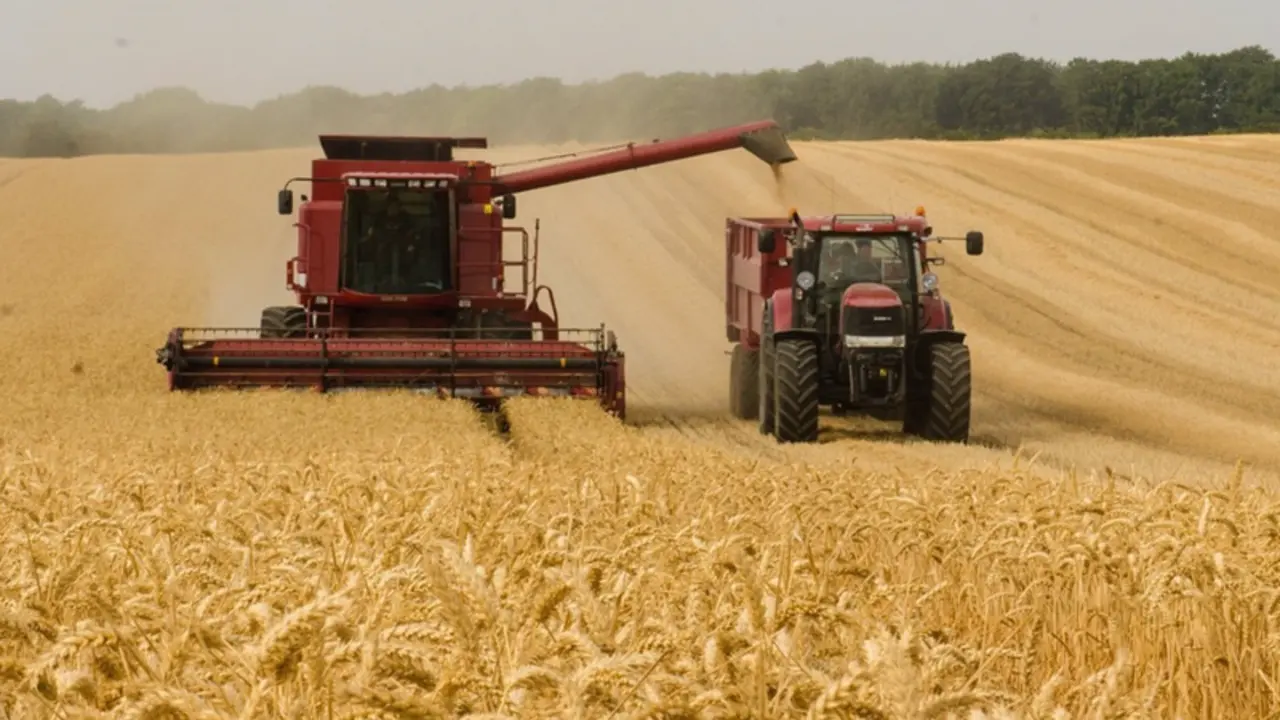 <p> Agricultor cosechando en el campo - UNI&Oacute;N DE UNIONES </p>