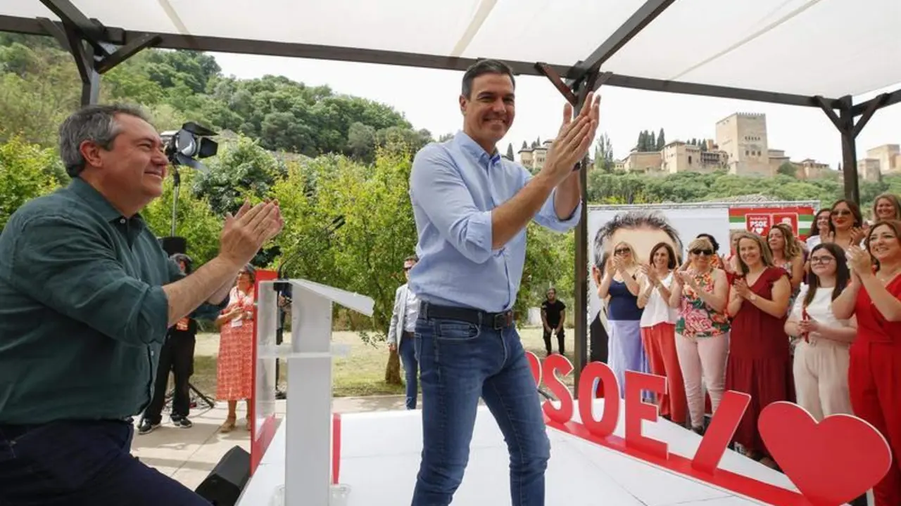 <p> El presidente del Gobierno y secretario general del PSOE, Pedro S&aacute;nchez </p>