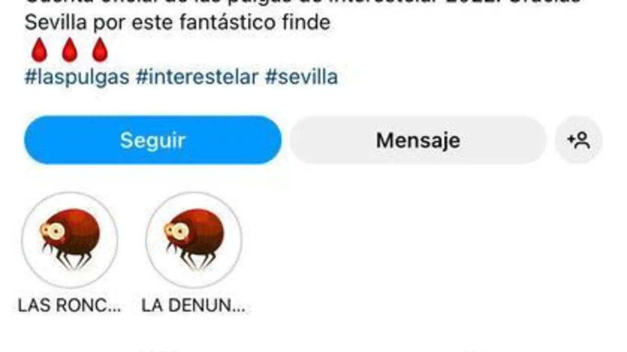 <p> Cuenta creada en Instagram por usuarios afectados de la plaga - captura de pantalla </p>
