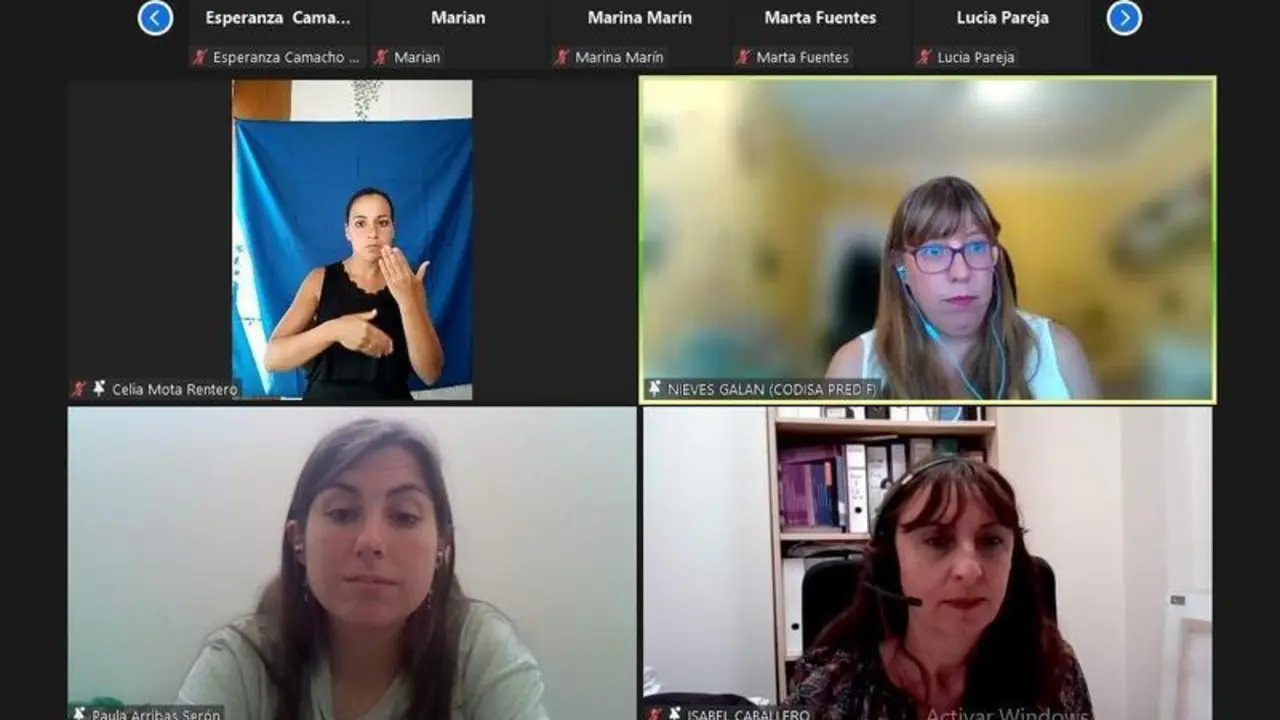 <p> Webinario de Violencia de G&eacute;nero de CERMI Andaluc&iacute;a </p>