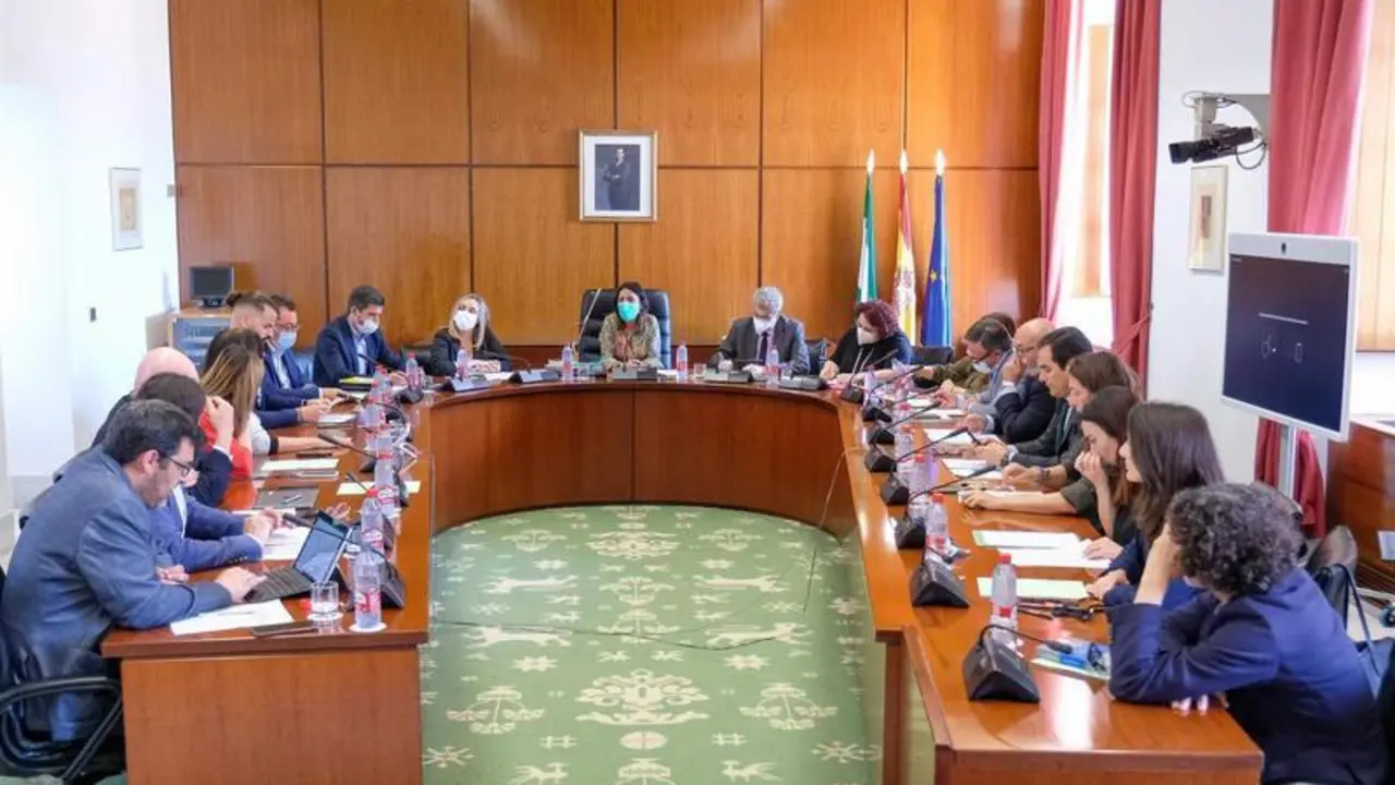 <p> Foto de archivo de una reuni&oacute;n de la Diputaci&oacute;n Permanente del Parlamento de Andaluc&iacute;a </p>
